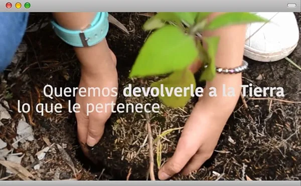 red de arboles red de arboles