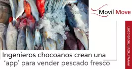 Ingenieros chocoanos desarrollan una aplicación para la venta de pescado fresco