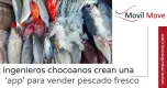 Ingenieros chocoanos desarrollan una aplicación para la venta de pescado fresco Ingenieros chocoanos desarrollan una aplicación para la venta de pescado fresco